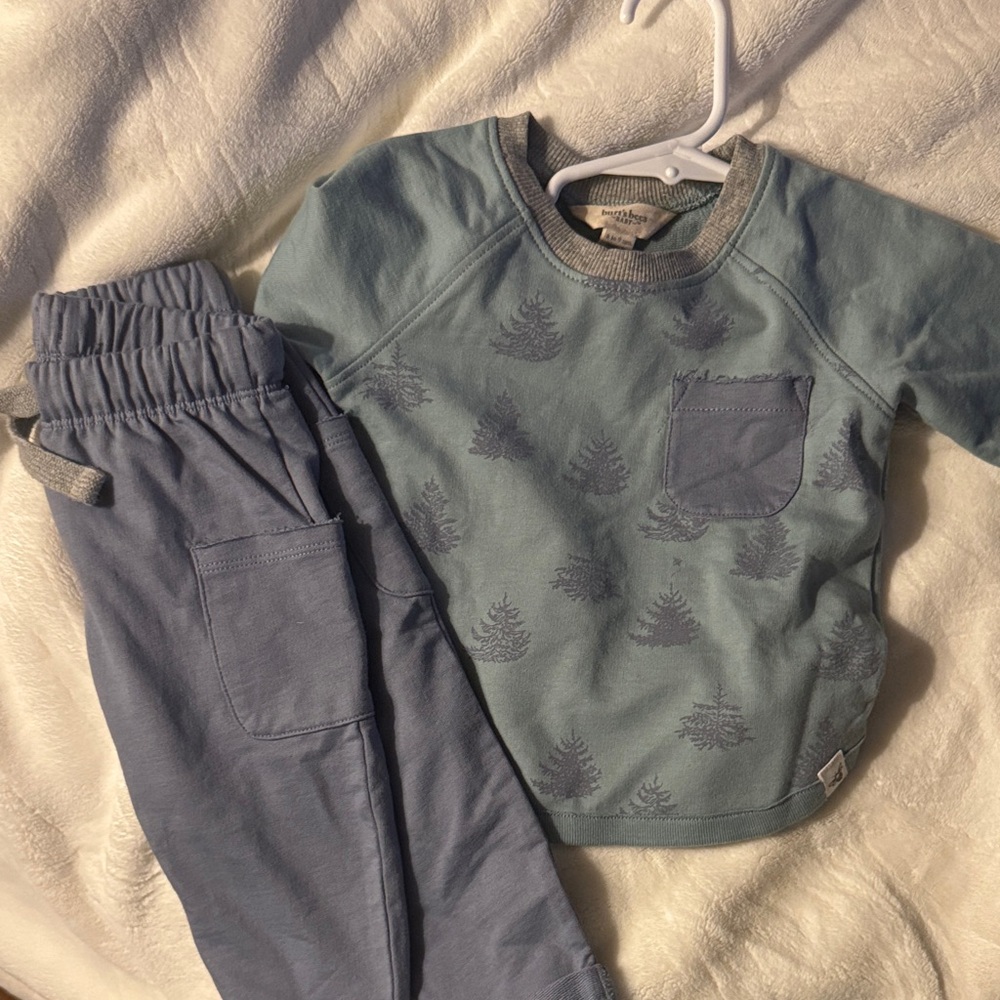 Burt's Bees Baby Light Blue and Gray Sweatshirt Set